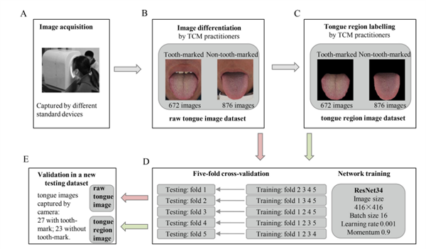 AI看舌識人 究竟是不是智商稅